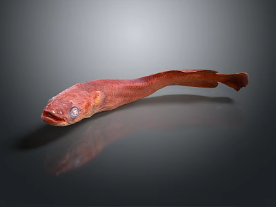 Red Decorative Fish Figurine With Shiny Surface And Dark Background Reflection 3d model