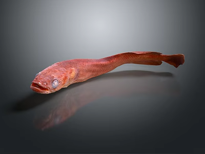 Catfish Carp Sturgeon Bass Freshwater Fish Various Carp Grass Carp Crucian Carp 3d model
