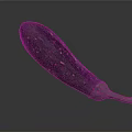 Fresh Purple Eggplant with Green Stem and Smooth Skin on Dark Background