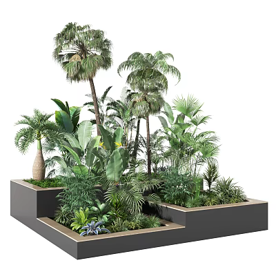 Various Tropical Plants Planted in Black Planters with Lush Foliage 3d model
