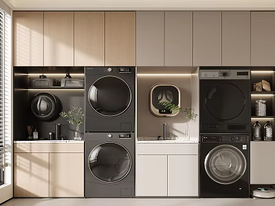 Modern Laundry Room Featuring Stacked Washer Dryer Cabinets And Potted Plants 3d model