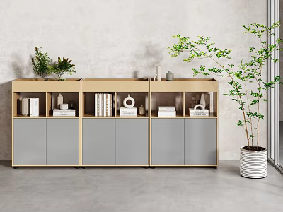 Modern Light Wood Bookcase With Grey Cabinets Books Decor And Green Plant 3d model