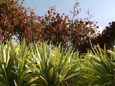 Lush Green Shrubs With Vibrant Red Foliage In Garden Landscape Under Clear Blue Sky 3d model