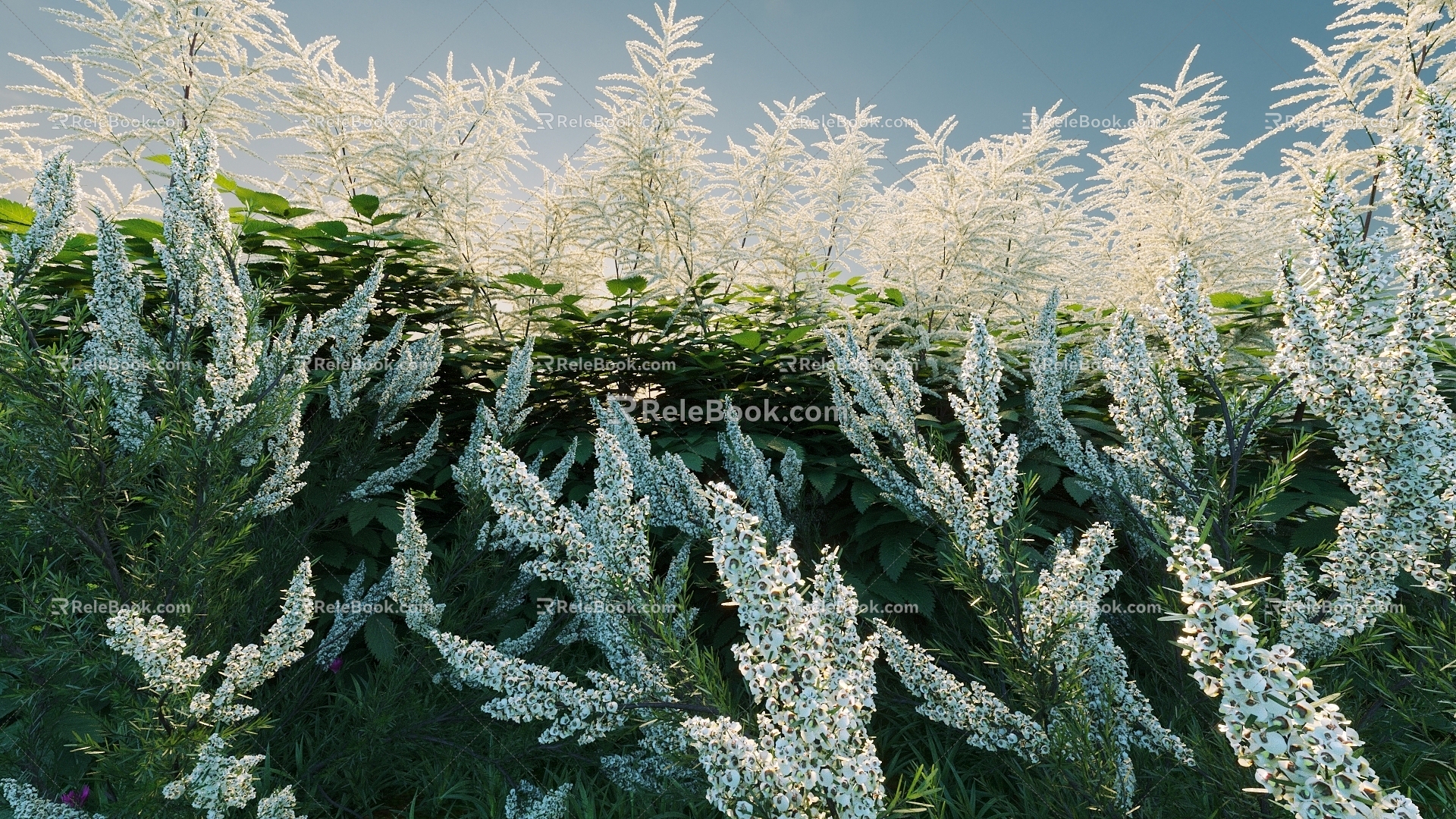 Flowers and plants combination landscape shrubs shrubs plant combination natural landscape flowers 3d model