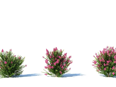 Modern shrub plant landscape 3d model Modern shrub plant landscape 3d model