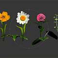 Assorted Plants Displaying Colorful Flowers And Vibrant Green Leaves