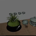 Moss Covered Bonsai Potted Plant in Gray Pot with White Teacups Pine Cone Bamboo Mat