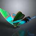 Vibrant Butterfly With Green And Blue Iridescent Wings And Reflection On Dark Background