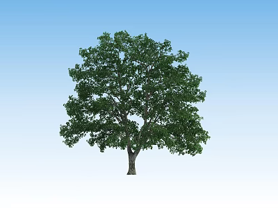 The Modern Tree 3d model The Modern Tree 3d model