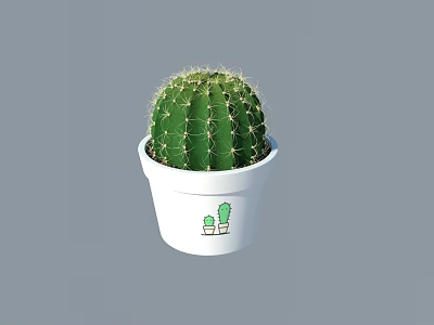 Green Cactus Potted Plant In White Pot With Small Cactus Design 3d model