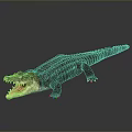 Detailed Reptile Crocodile With Open Mouth On Smooth Dark Background Showing Clear Reflection
