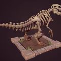 Modern Skeleton Dinosaur Skeleton Tyrannosaurus Rex Skeleton 3d model