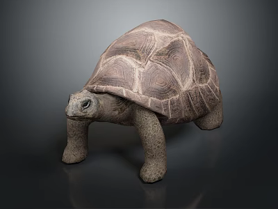 Realistic Tortoise Sculpture With Textured Shell And Sturdy Legs On Dark Background 3d model