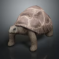Realistic Tortoise Sculpture With Textured Shell And Sturdy Legs On Dark Background 3d model