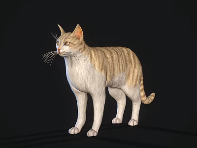The Modern Cat 3d model The Modern Cat 3d model