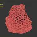Bee Made Natural Honeycomb Structure With Intricate Hexagonal Cells Design Details 3d model