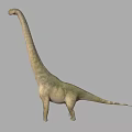 Realistic Long Neck Dinosaur 3D Model With Greenish Skin And Gray Background