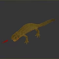 Realistic Brown Salamander With Red Belly And Small Fish On Dark Background 3d model