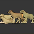 Various Colored Dog Models Displayed In Different Poses On Black Background