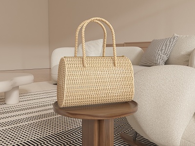 Straw bag ladies bags luggage accessories model