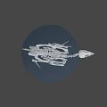 Detailed Bird Skeleton 3D Model with Anatomical Details and Standing Pose
