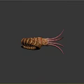 Modern nautilus squid octopus 3d model