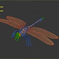 Orange Dragonfly With Detailed Mesh Wings And Transparent Structure On Dark Background