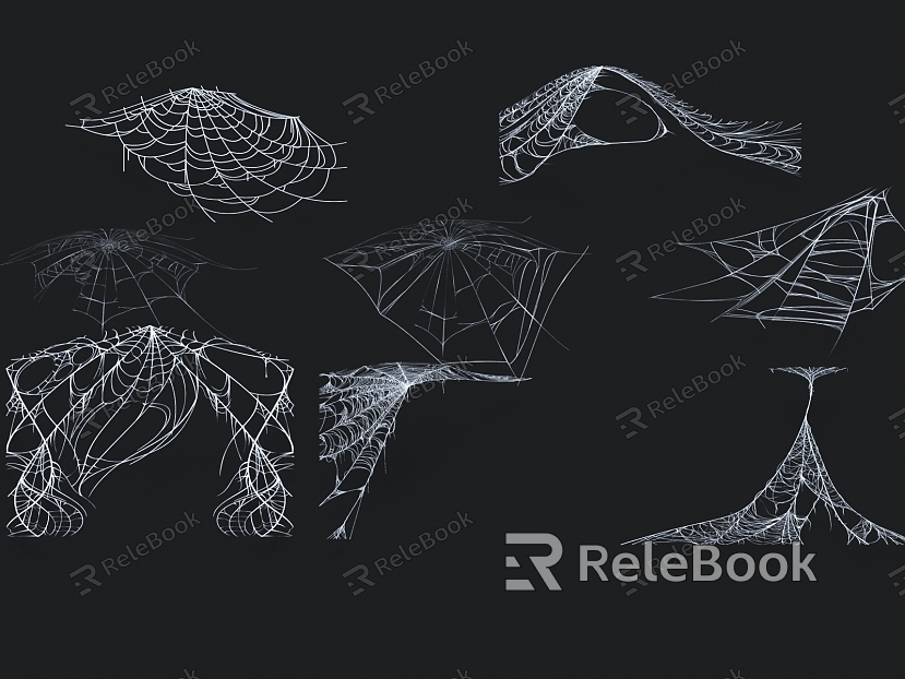 spider web spider silk spider web model