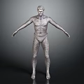 Detailed 3D Character Model Featuring Wireframe Texture In Standing Pose