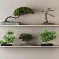 Bonsai Plants Arranged On Two Floating Shelves With Light Colored Wall Background 3d model