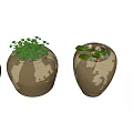 Bonsai Potted Plants in Brown White Speckled Pots Featuring Green Plants Pink Flowers Lotus Leaves