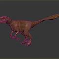 3D Velociraptor Character Model in Standing Pose with Brown Skin Long Tail and Dark Reflection