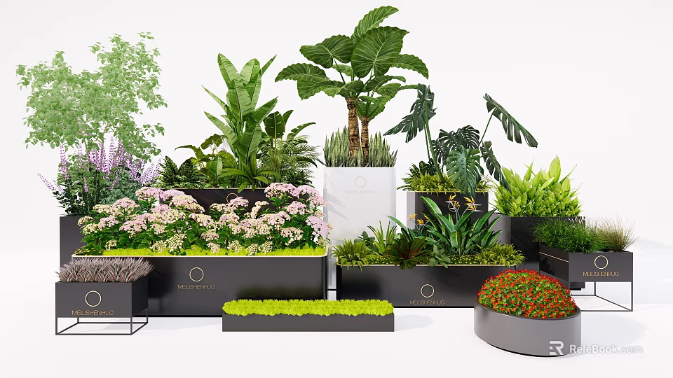 Bonsai and Potted Plants in Varied Shaped Planters with Greenery and Flowering Blooms 3d model 