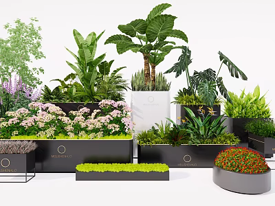 Bonsai and Potted Plants in Varied Shaped Planters with Greenery and Flowering Blooms 3d model