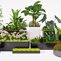 Bonsai and Potted Plants in Varied Shaped Planters with Greenery and Flowering Blooms