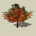 Tree 3d model