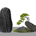 Natural Rockery Stones Decorated With Bonsai Pine Tree And Green Ferns