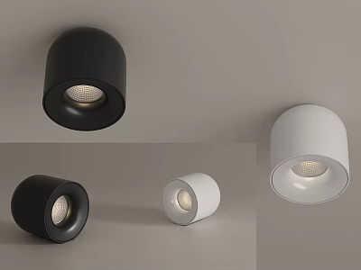 Black and White Downlights and Spotlights Modern Design Stylish Round Ceiling Fixtures for Home Interior 3d model