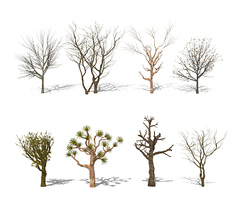 Modern Dead Trees Dead Branch Trees Landscape Trees Arbor Plants 3d model