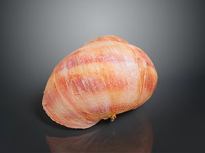 Vibrant Aquatic Animal Shell With Orange Pink Stripes And Textured Surface On Dark Reflective Background 3d model