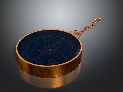 Compass Instrument Items 3d model