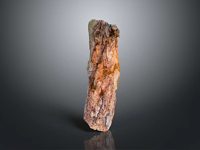 Natural Stone And Wood Decorative Sculpture With Organic Textured Surface Design 3d model