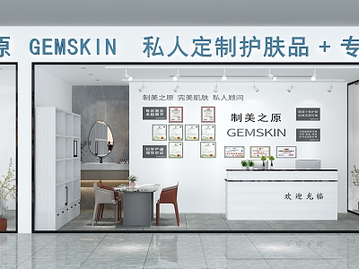Skin Management Door Head Storefront Beauty and Skin Care Shop Beauty Bed Leisure Chair Front Desk Cashier Washbasin 3d model