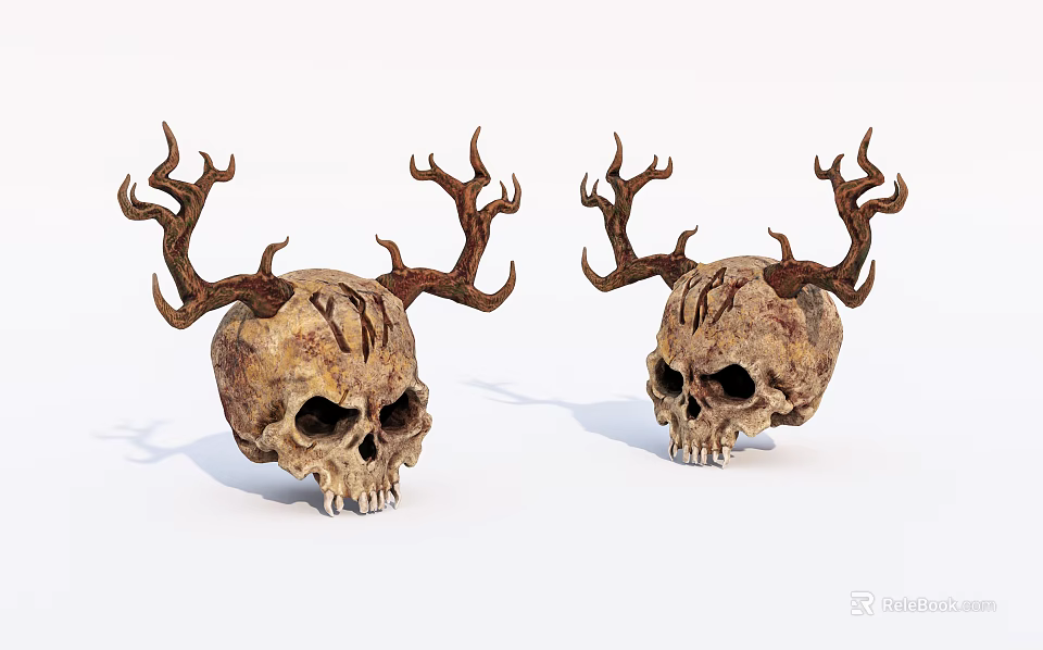 Medical Teaching Skull Models With Antlers For Educational Training Purposes 3d model 