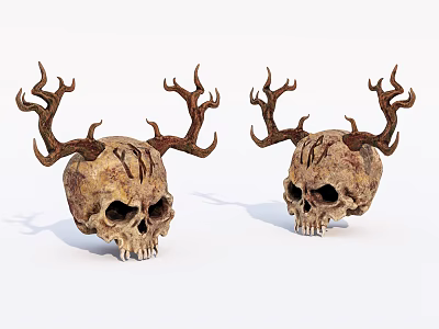 Medical Teaching Skull Models With Antlers For Educational Training Purposes 3d model