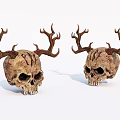Medical Teaching Skull Models With Antlers For Educational Training Purposes