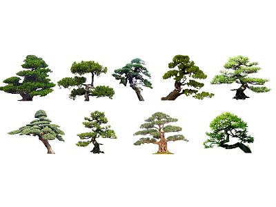 Ornamental Arbor Collection Featuring Various Forms And Distinctive Trunk Shapes 3d model
