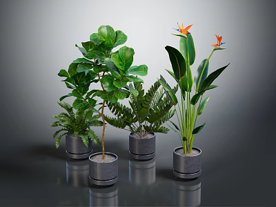 Lush Indoor Green Plants In Modern Gray Pots With Various Leaf Shapes And Colorful Flowers 3d model