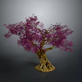 Single Tree With Purple Flowers Thick Trunk And Exposed Roots On Dark Background
