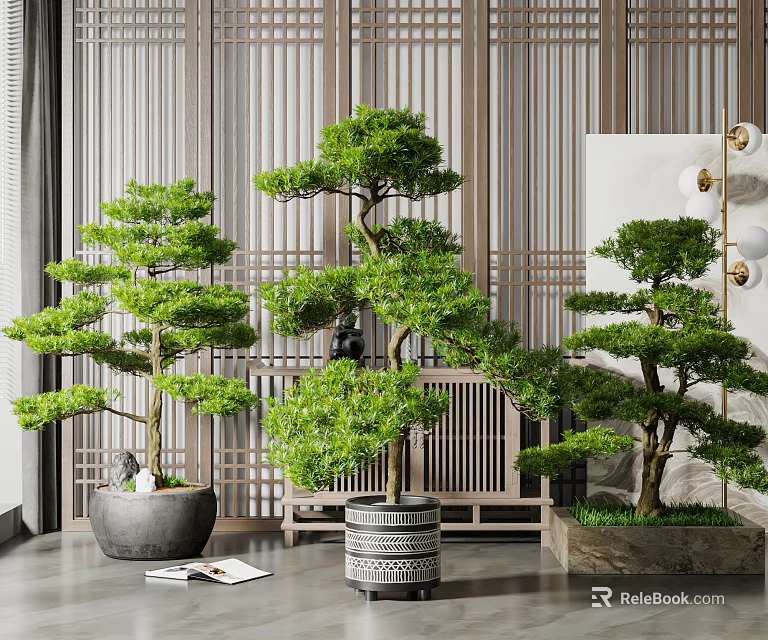 Elegant Indoor Bonsai Trees Display With Wooden Grille Background And Decorative Planters 3d model 
